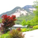 장미정원 - 아산시 송곡길 190-12 | 장미정원