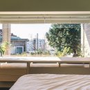 호근모루 이미지