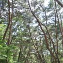 세계문화.세계유산 여행 이미지