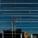 동서약품 이미지