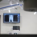 둔촌동물병원 이미지