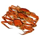 미야네 대게 이미지