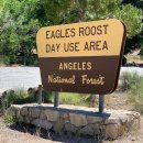 10-04-2025 Mount Williamson From Eagles Roost Picnic Area 이미지