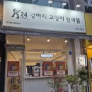 강아지고양이편의점청주