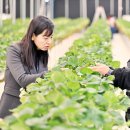 서준석농장 이미지