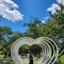 농협수안보 이미지