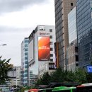 피카소광고 이미지