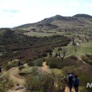 황매산 철쭉제 이미지