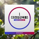쌍문마디튼튼의원 이미지