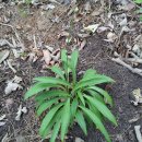 귀중농장 이미지