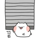 아일랜드커피바 이미지