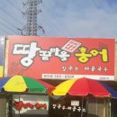 땅끝마을홍어