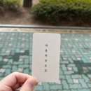 [목포하당미용실] 박용까꼬보꼬 단백질 클리닉 후기:)