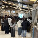 복용승마장 이미지