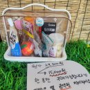 씨유펫 불당점 네이버블로그