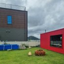 댕댕이의 하루 이미지