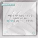 브랜딩비유 이미지