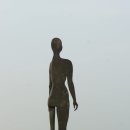 화순이양중 이미지