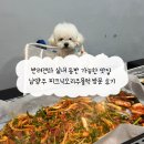 주물럭피크닉 | 반려견과 실내 동반 가능한 맛집 남양주 피크닉오리주물럭 방문 후기