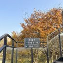 주식회사 오캐시백 | 천안 북면 가을 가볼만한 카페 - 교토리