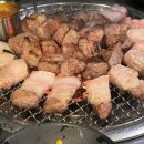 팔도 노래연습장 이미지