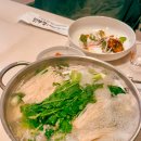 제주복어 이미지