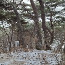 마치세월교 이미지