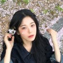 백지헌 카카오 검색결과