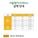 🧺 서울형 가사서비스 완전 만족 후기 | 연년생 육아 (든든한 파출부)