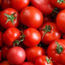 토마토가 건강에 이로운 이유 5가지 이미지