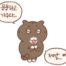 🐻 🍵 공차(곰차) 무나 아니고 곰돌이 티코스터 무나 후기 이미지