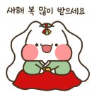 애니펫동물병원 이미지