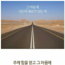 시온의 대로 이미지