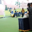 디바인퍼피 이미지