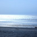 서해바다 이미지