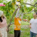 곳간문경