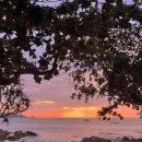 국제비치마트 이미지