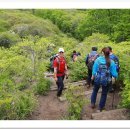 카페송림 이미지