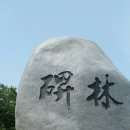 종합 서예 이미지