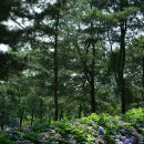 장계관광지 이미지