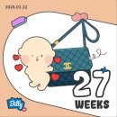 현풍로 | 임신 27주 28주 증상 배크기 심장소리 요실금 쥐 왁싱 밑빠진 느낌