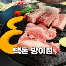 빽도리 | 방이동 맛집 빽돈 방이점 돼지고기 세트 회식 후기