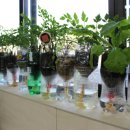 라이프아파트 이미지