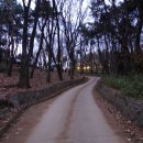 안산해맞이 이미지