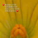 희망탑공인중개사사무소 이미지