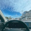 멍냥간식 이미지