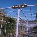 본마사동 이미지