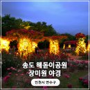송도 해돋이공원 | 송도 해돋이공원 장미 야경 후기 및 주차장 정보