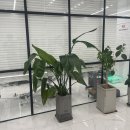 수원체형교정 Time to REHAB 재활운동센터, 만성 등 통증 사라졌어요