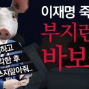 부지런한 바보들 친일세뇌 100년 문천지교 털천지교 세뇌 10년 이재명 죽이는 공범들! 이미지